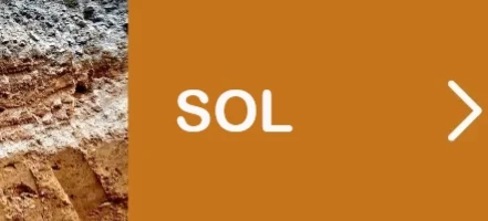 soil_GLOBAL LAB